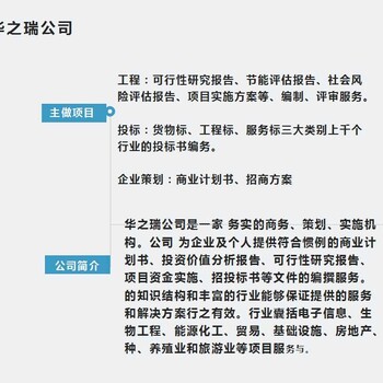 攀枝花电子标编写可行性研究报告2022已更新