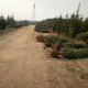 1614676086(1)
