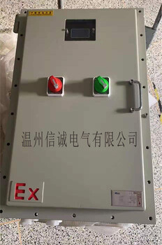 成都ExdIIBT4防爆A型应急照明集中电源NT-D-0.5KVA