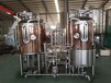 啤酒设备厂家供应500升酿酒设备小型精酿扎啤机啤酒厂发酵罐