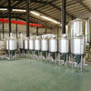廠家供應小型精釀啤酒設備不銹鋼發酵罐家用釀酒設備