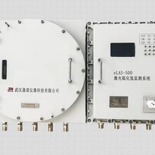 H2S在线激光分析系统