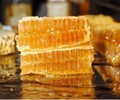 鄭州土蜂蜜廠家蜂蜜禮盒廠家蜂蜜團購廠家