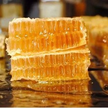 鄭州土蜂蜜廠家蜂蜜禮盒廠家蜂蜜團購廠家圖片