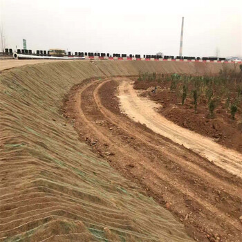 远景植物纤维毯环保草毯植生毯河道公路护坡绿化草毯