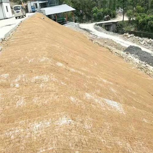 牡丹江西安椰丝植物纤维毯厂家直供