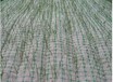 邢台椰丝植物纤维毯生产厂家
