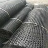 上饒信州區塑料土工網批發價