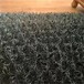 梅州植草毯生态水土保护毯价格