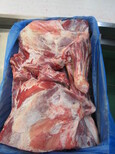 澳大利亚冰鲜绵羊肉(带骨)广东港进口商检图片2
