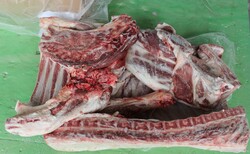 澳大利亚冰鲜绵羊肉(带骨)广东港进口商检图片4