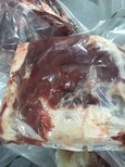 澳大利亚冰鲜绵羊肉(带骨)广东港进口商检图片3