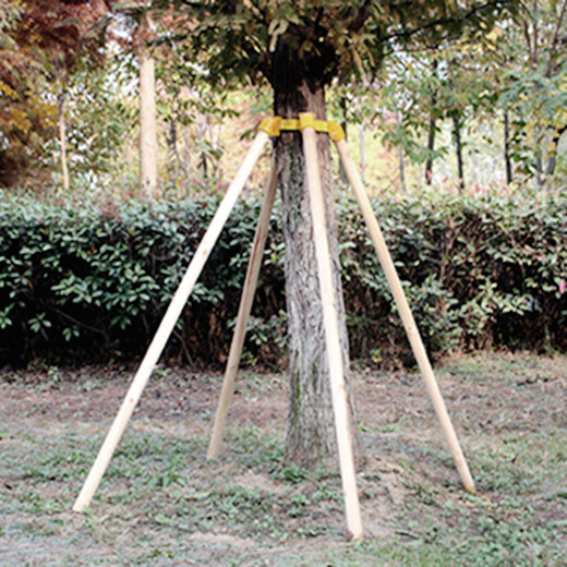 山西景观树木加固支架使用教程