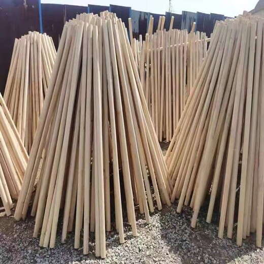 上海苗木保护木棍产品规格