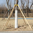 山东绿化工程松木杆使用方法