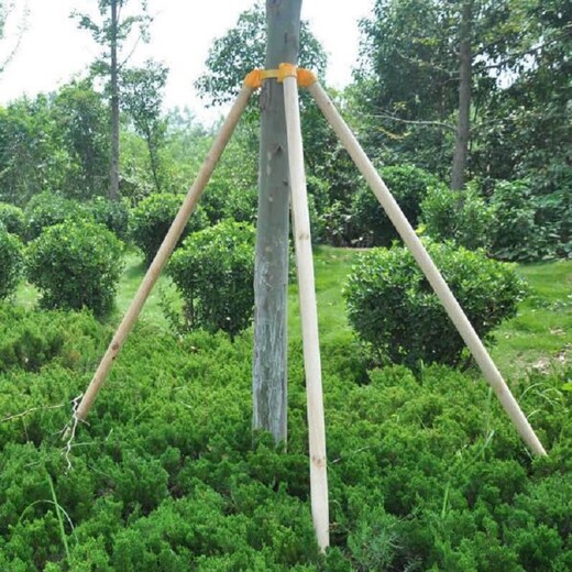 江西2米架树杆施工方法