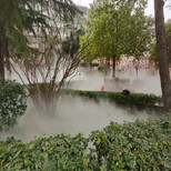 枣庄游乐园造雾设备安装图片3