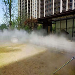 枣庄游乐园造雾设备安装图片4