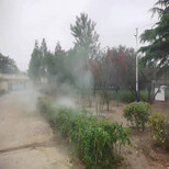 枣庄游乐园造雾设备安装图片5