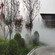 吉安民宿景观雾森系统