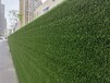 绿植草坪围挡（选择哪种好？）附施工方法