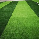 足球场人造草坪（有哪些分类？选择哪种比较好？）