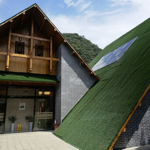 环保人造草坪（屋顶用哪种？价格多少？）