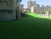 阳台绿化人工草皮（用多少钱的合适？哪个厂家信得过？）