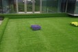 人工草坪每平米多少钱（哪个品牌好？选择哪种好？）