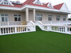别墅绿化仿真草坪（用多少钱的合适？哪个厂家信得过？）