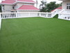 绿化人工草坪（每平方价格多少？选择哪种好？）