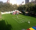自貢市工地人造草坪（2022價格多少？）