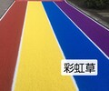 锦州市工地护栏人造草坪（2022批发价格）