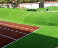 陽江市門球場人造草坪（2022價格多少？）