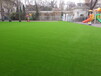 南京市足球場人造草坪（2022批發價格）