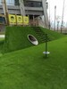 太原市幼兒園用人造草坪（2022推薦）