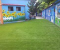呼伦贝尔市幼儿园人造草坪（2022价格已更新）