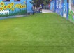 幼兒園人造草坪足球場（2022價格多少？）