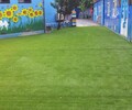 無錫市幼兒園人造草坪（2022價格多少？）