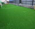 张家界市幼儿园用人造草坪（2022价格多少？）