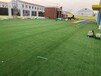 黑河市围挡人造草坪（2022价格多少？）