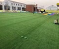 棗莊市幼兒園用人造草坪（2022批發價格）