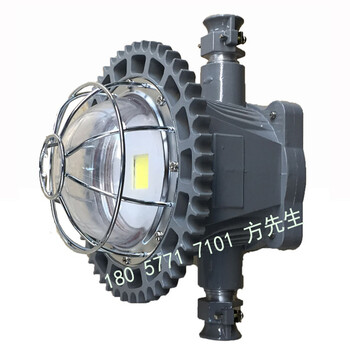 供應DGS20/127L(C)礦用隔爆型LED巷道燈