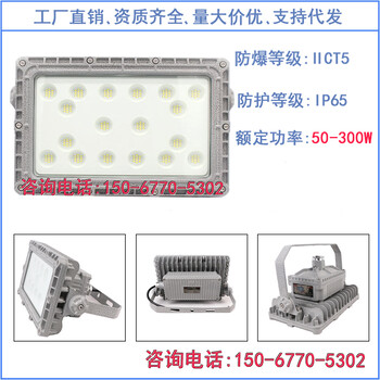 ccd97防爆LED泛光灯同款防水防尘防腐灯100W-300W