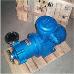 CQ不锈钢磁力泵无泄漏化工泵卧式高温离心泵按需生产