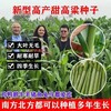 黑龍江七臺河常青牧草種子供貨商出售進口直接喂食牧草種子免費試種