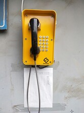 水電站防潮電話機，抗惡劣環境防風雨電話機SIP-PA-21圖片