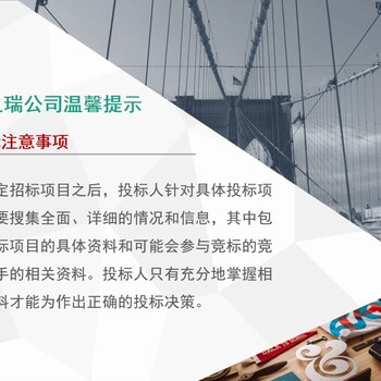 2022枞阳县做标书投标书做标书标书报名指导