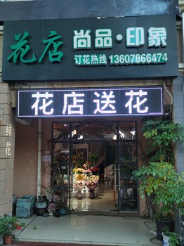 南宁越秀路花店鲜花植物实体店24小时送花