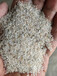 鹤壁地区石英砂滤料（1-2毫米）喷砂建筑花卉